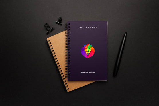 design the professional logo in just 24 hours