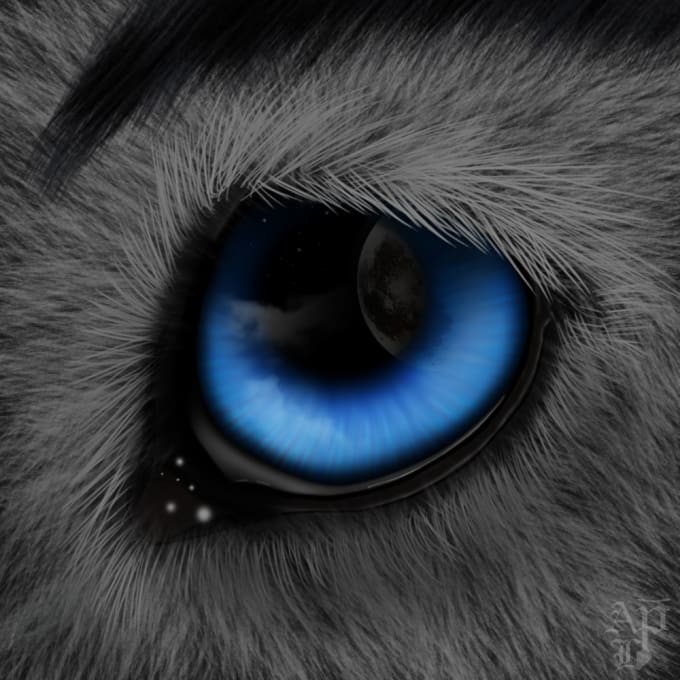 Draw an icon of the eye of your fursona in high res by Ixenroh | Fiverr
