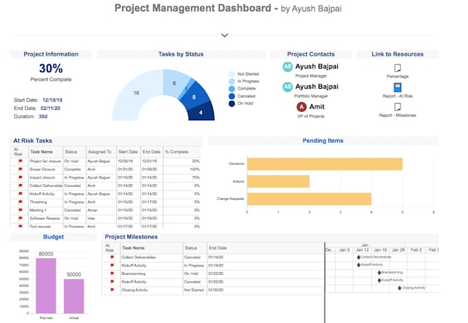 be your scrum master, project and program manager