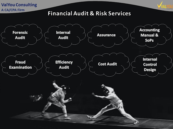 perform internal, external and forensic audit being a ca