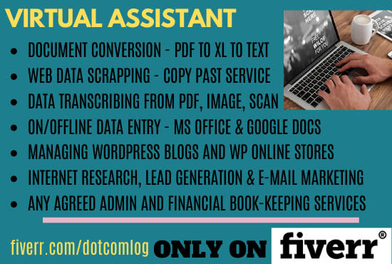 be virtual assistant for all online work wordpress and ecommerce