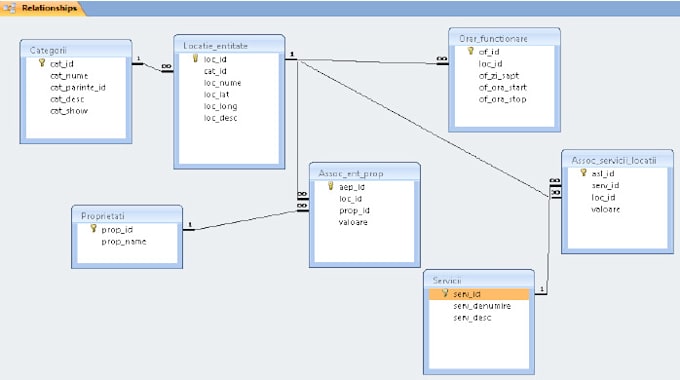 designs the database and queries