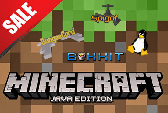 setup any minecraft server with your own mods and plugins