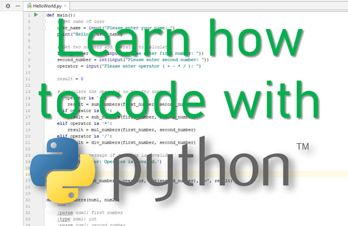 Teach you the basics of python by Almog23 | Fiverr