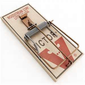 teach you how to trap a mouse
