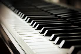 provide piano lessons     1 lesson