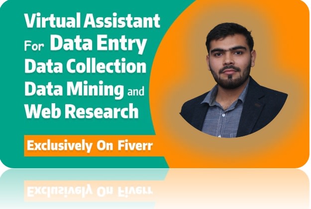 do expert data entry, copypaste, research assignments