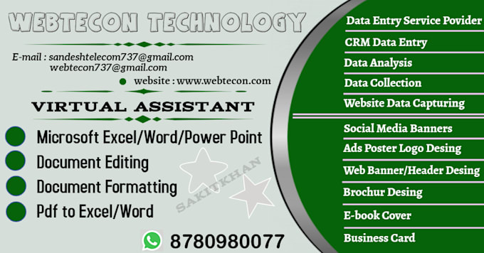 data entry and graphics virtual assistant