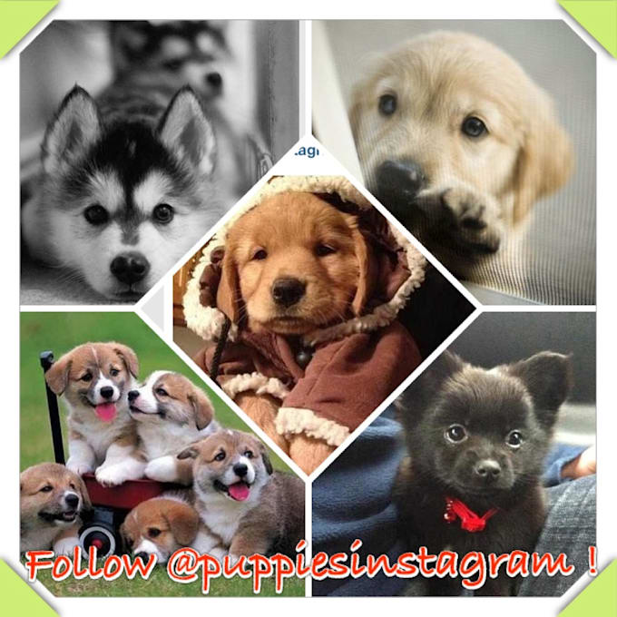 advertise you on Instagram