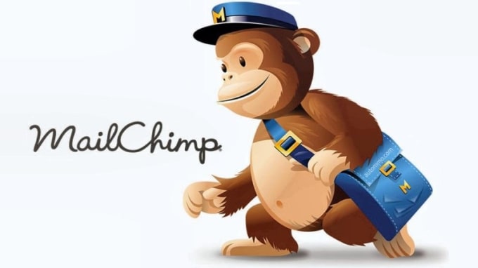 be your mailchimp expert and setup email automation