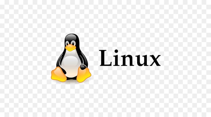 linux packages installation and maintenance