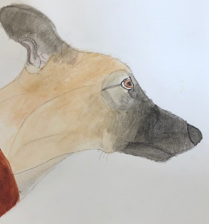 Watercolor painting of your dog by Xxyeetboixx Fiverr