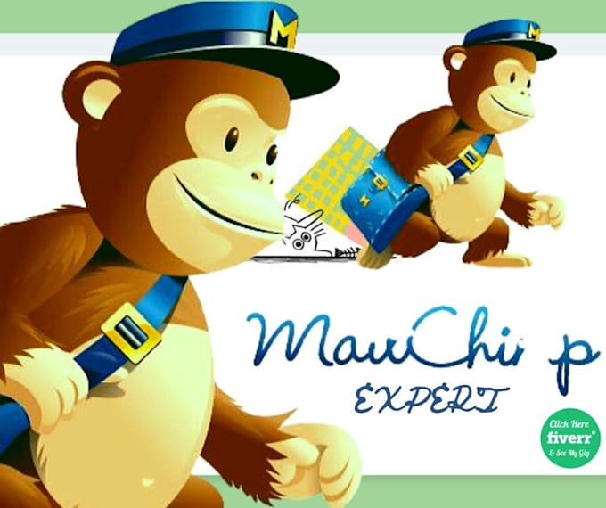be your mailchimp email campaign and automation expert