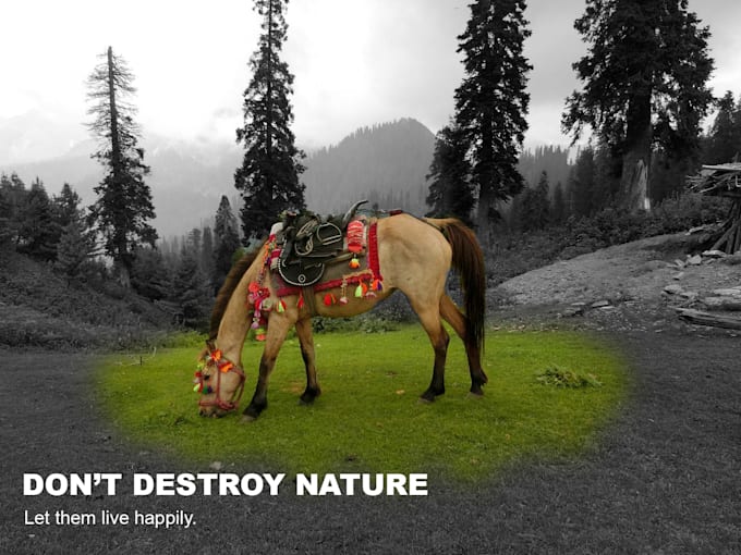 do professional photoshop editing
