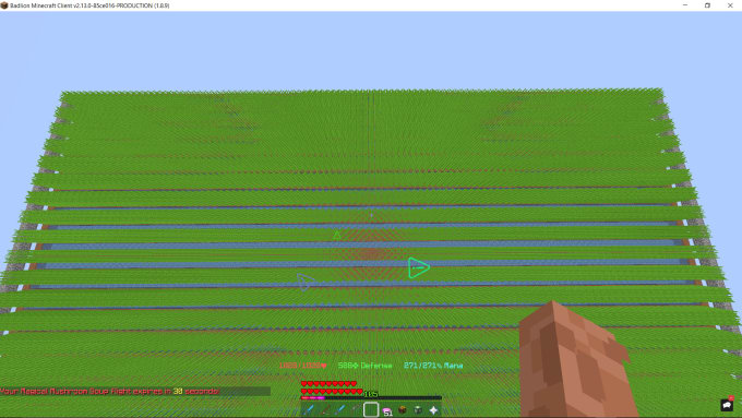 build you a large sugarcane farm on your skyblock island
