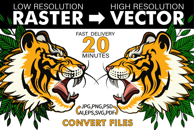 high resolution vector image converter