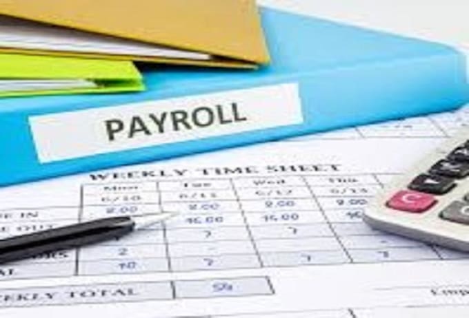 run your payroll on excel