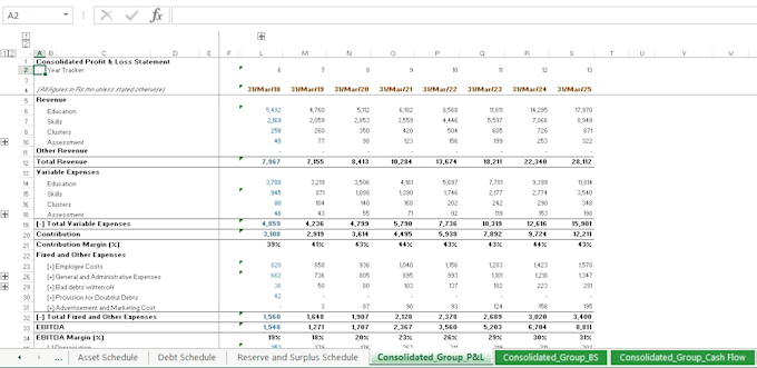 prepare and vet financial model for your company