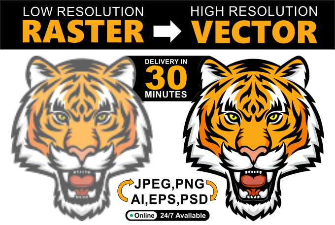 illustrator convert raster to vector black