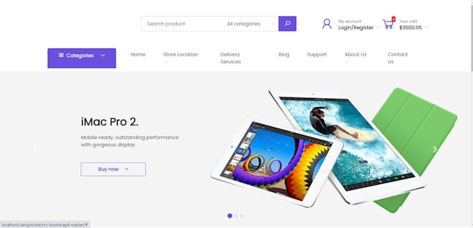 create a professional custom webshop with admin panel and payment system