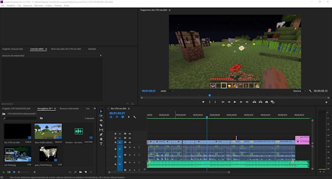 edit your video in a professional way