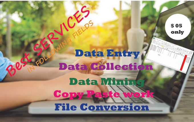 do perfectally data enty , data mining , copy paste