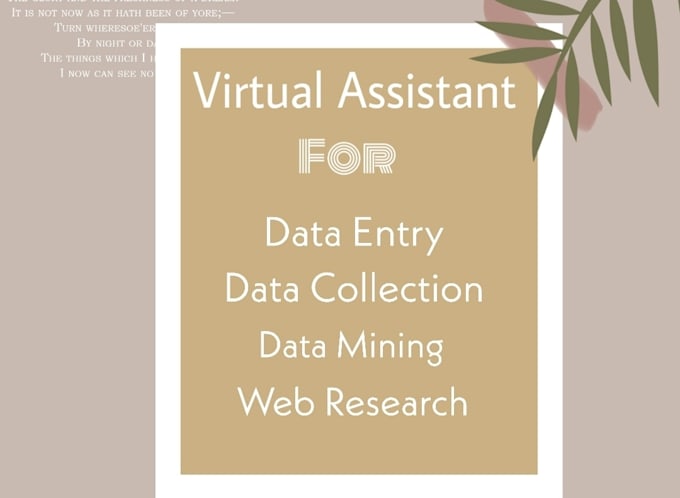 do professional dataentry work within 4 hrs