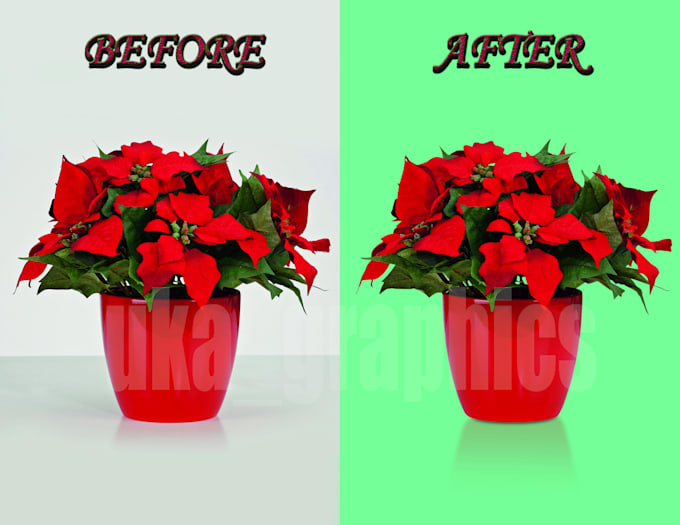 do clipping path by a cutout, background remove service