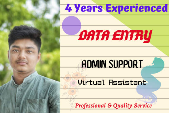 do professional data entry job for USA or any organization