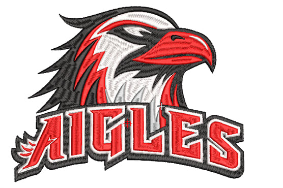 Do Logo Embroidery Digitizing Within 1 Hour