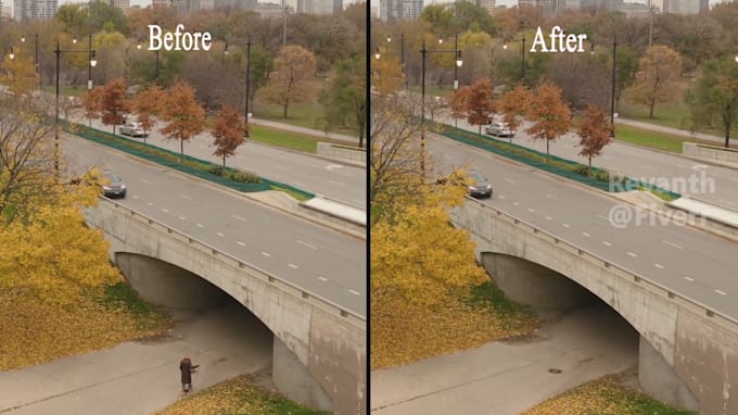 remove the object from your videos and pictures