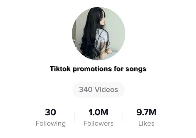 Shoutout You On My 1 Million Tiktok Account By Emmy215 Fiverr