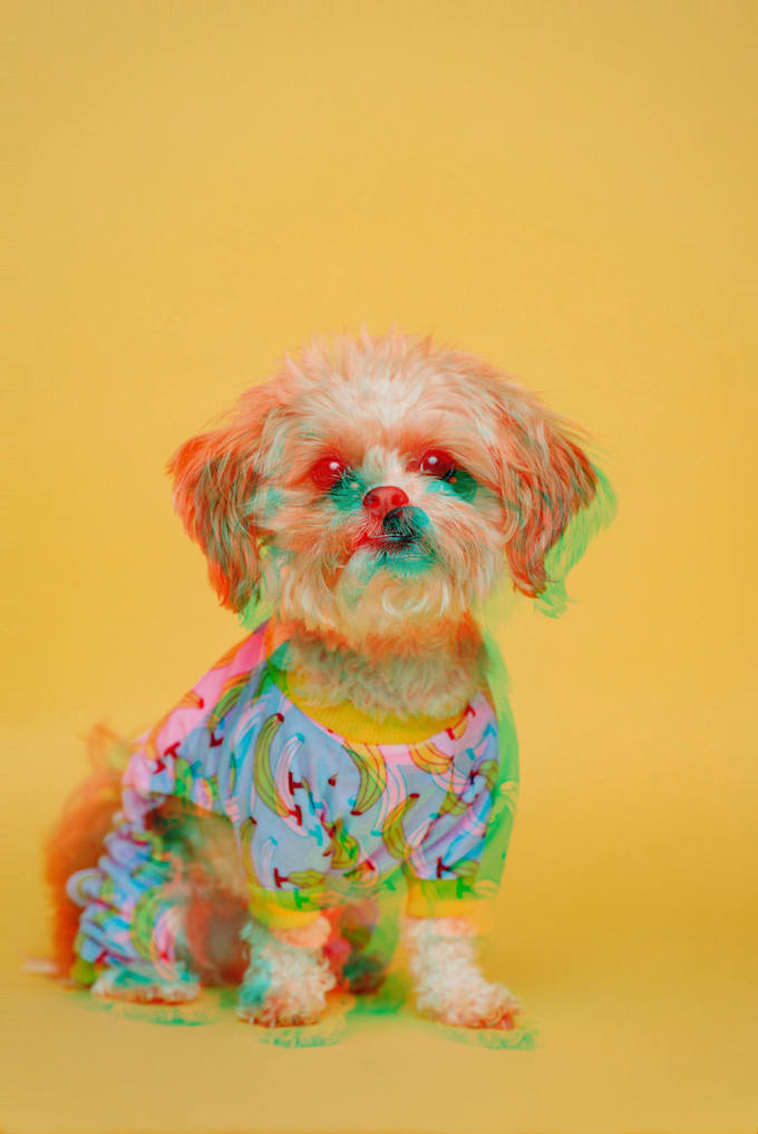 convert your any 2d image to 3d anaglyph image