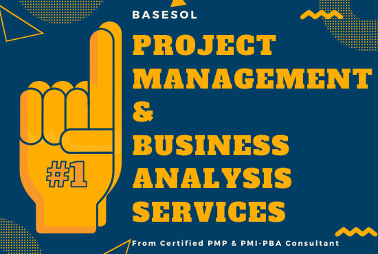 do business systems analysis and design for your software requirements