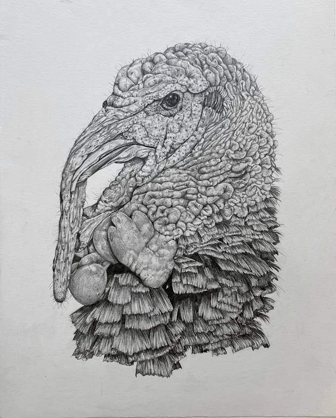 Draw You Any Animal In Realistic Style By Artmanee