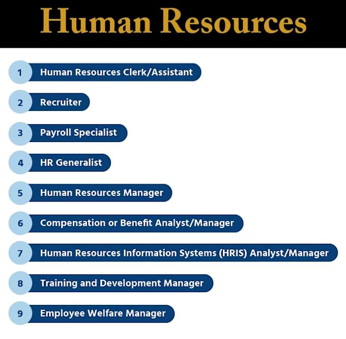provide human resources service in all areas of HR