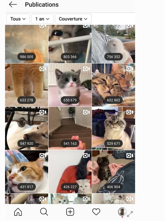give you high quality shoutout on my 101k cat instagram page