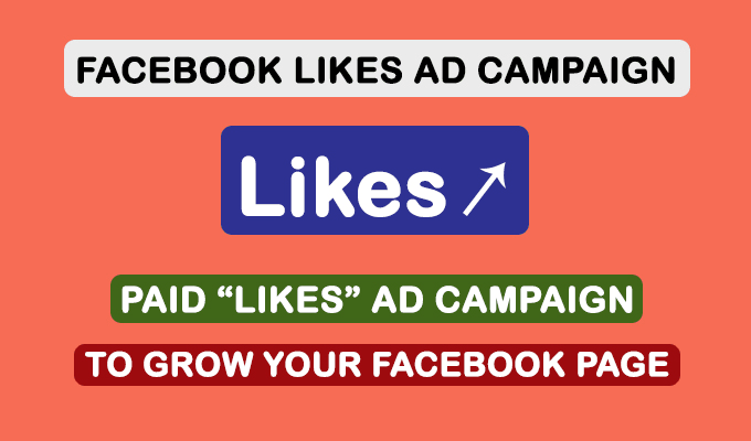 Hire a freelancer to run a facebook ad campaign to grow fb page likes