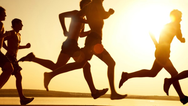 create specific workout programs and provide assist on injury management/recovery guidelines