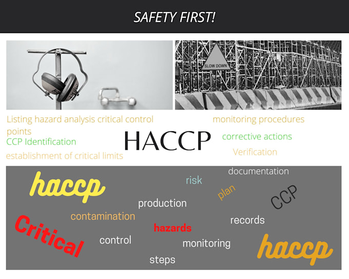 offer consultation on food safety and create haccp plans