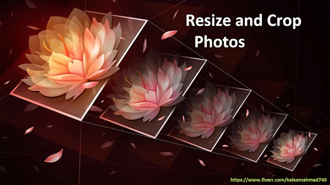 crop images, resize photos, remove image background