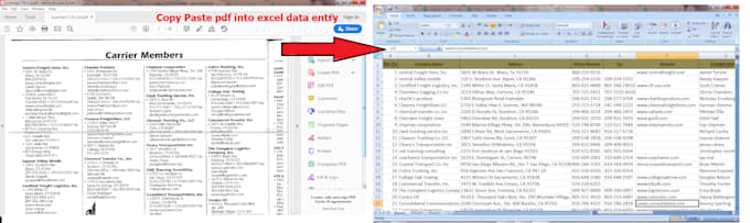 Type and copy paste pdf into excel data entry by Moinuddin1214 | Fiverr