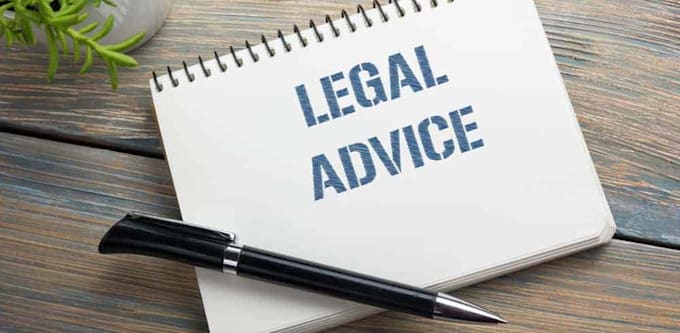 provide professional legal advice