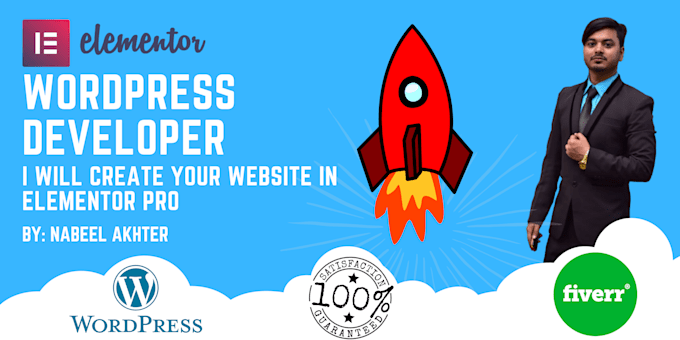 build professional wordpress website