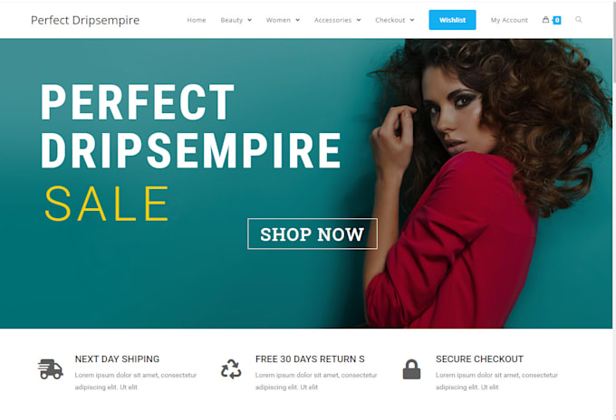 develop dropshipping or ecommerce wordpress website