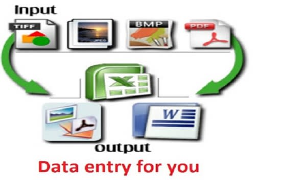 Copy paste pdf into excel or word data entry in 24 hour by ...