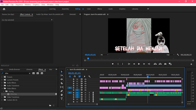 do professional video editing within 24 hours