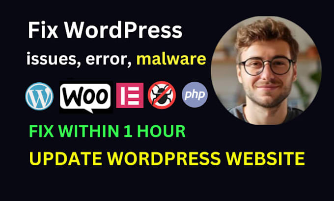 fix wordpress issues, error or update wordpress website