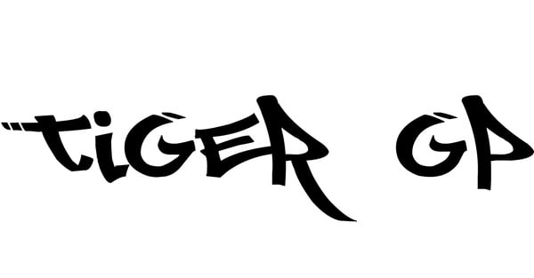 speed draw highly professionally your logo