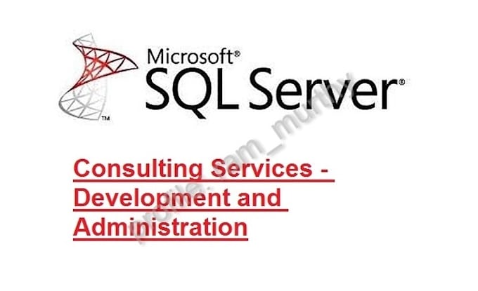 perform administration,  development in sql server database